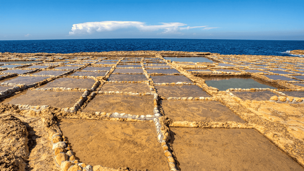 Xewjni Salt Pans, Gozo. Shallow squares carved into the rock beach with the sea in the background.