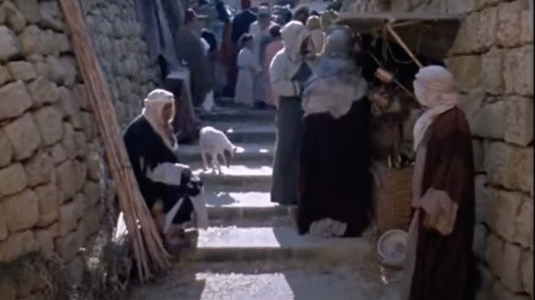 A group of people, and the odd goat, gathered on shall stairs.