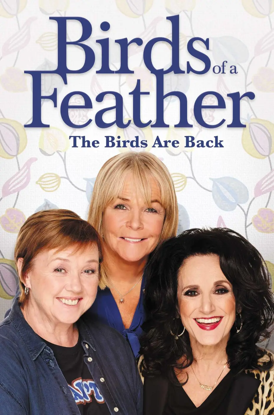Poster for the TV Show, Birds of a Feather.