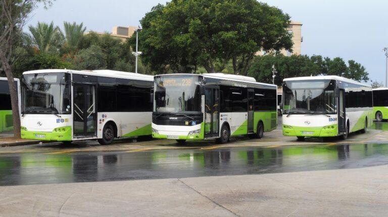 Three green and white Tallinha buses parked up.