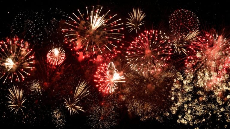 Fireworks at night