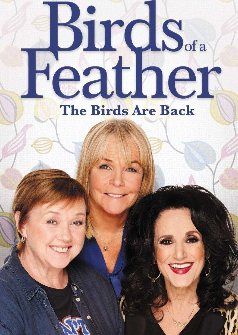 Poster for British TV sitcom, Birds of Feather.