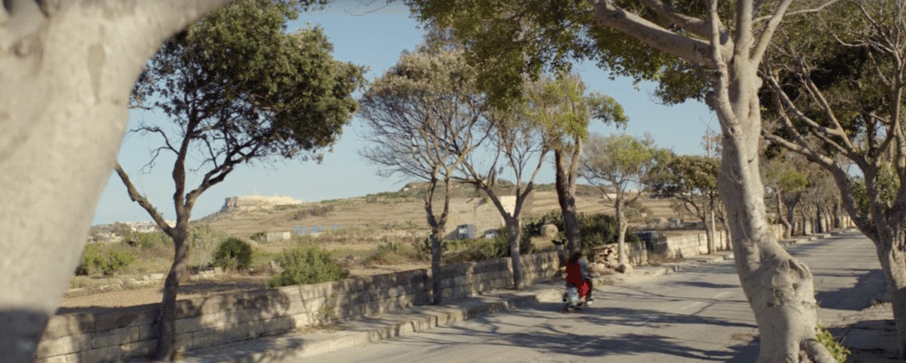 Vibrant outdoor scene with trees and scenic view of Gozo island, perfect for exploring Malta's natural beauty.