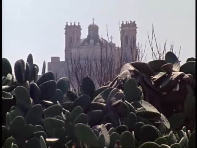 Cacti with historic castle in Gozo, Malta - scenic landscape scene on Gozo island.