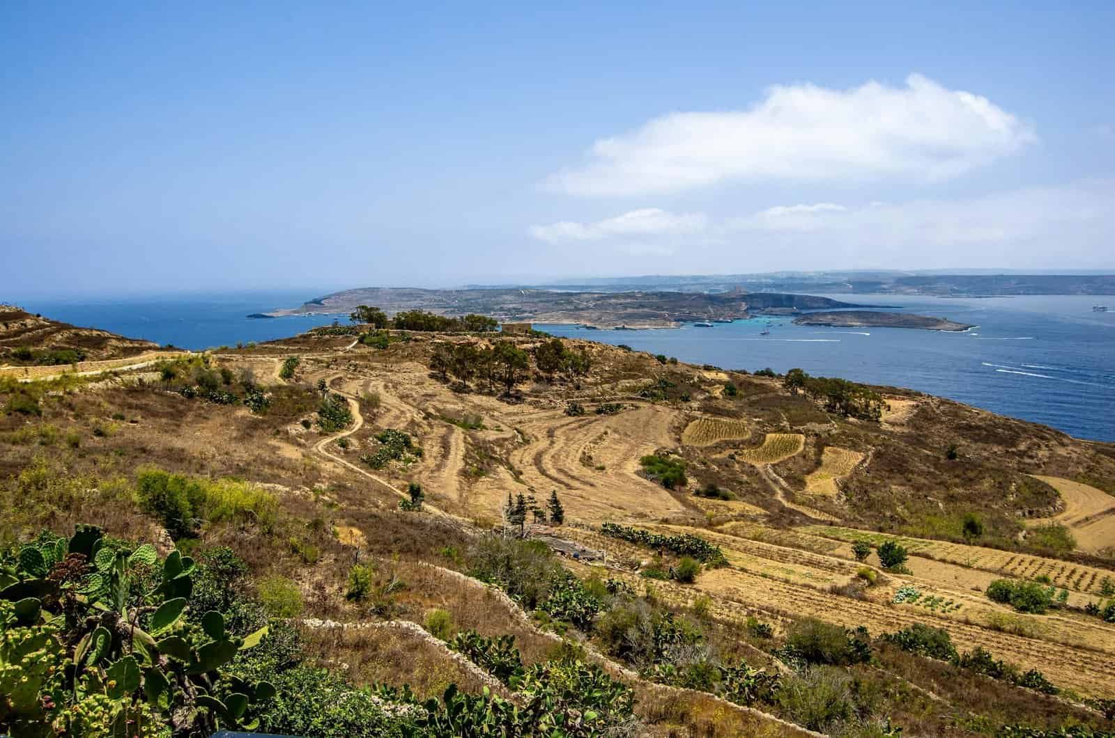 Breathtaking view of Malta's coast and terraced fields under a clear sky.
